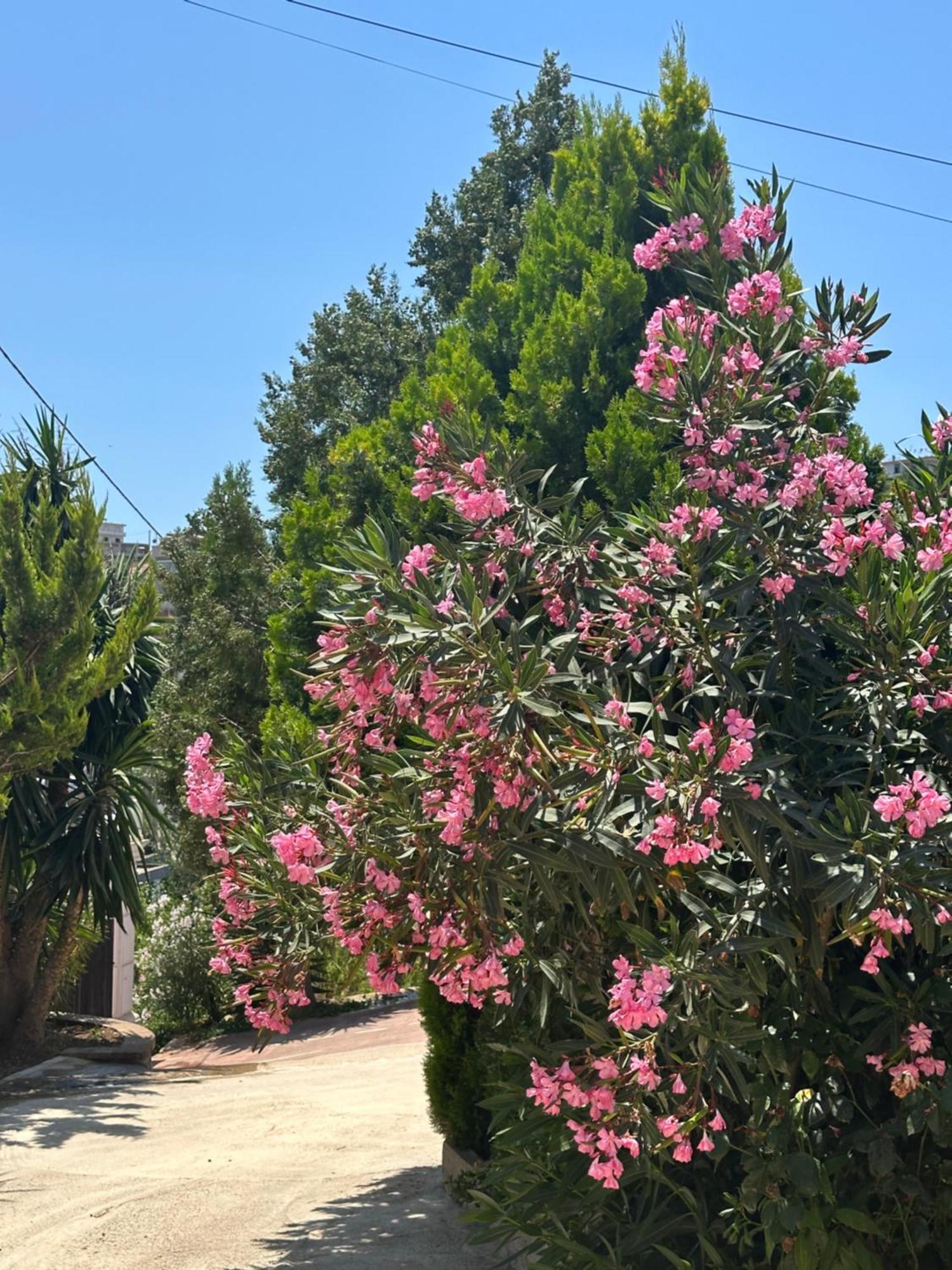 Apartamento Panoramic Views Of Saranda Exterior foto